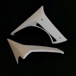 Ecopes de radiateur pour Suzuki 1250 Bandit N 2007 et 2008