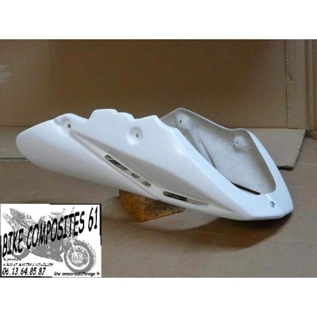 Sabot Moteur pour Kawasaki ER6 2006 à 2008