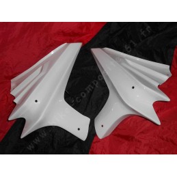 Ecopes de radiateur pour Kawasaki Z750 2004 à 2006