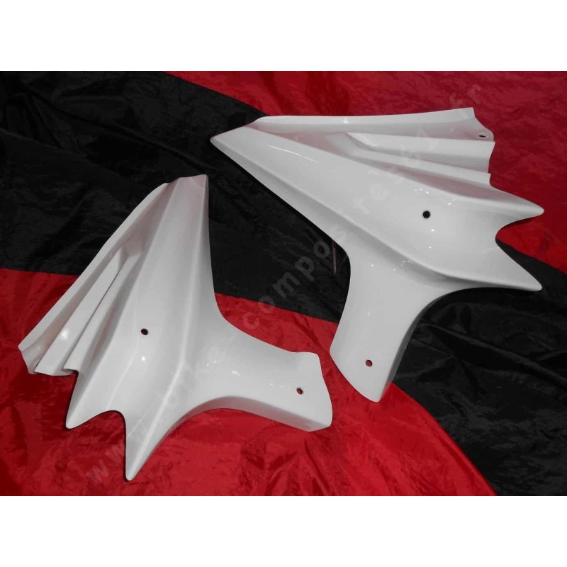Ecopes de radiateur pour Kawasaki Z750 2004 à 2006