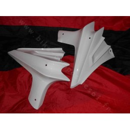 Ecopes de radiateur pour Kawasaki Z750 2004 à 2006