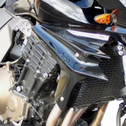 Ecopes de radiateur pour Kawasaki Z750 2004 à 2006