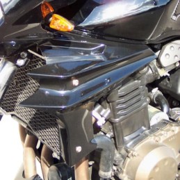 Ecopes de radiateur pour Kawasaki Z750 2004 à 2006