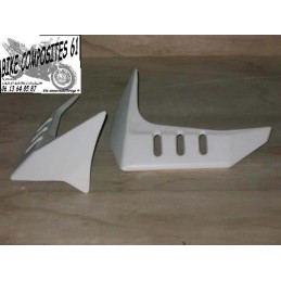 Ecopes de radiateur Kawasaki Z750 2004 à 2006