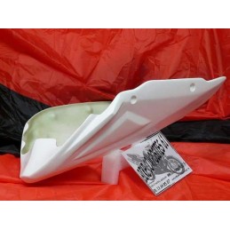 Sabot Moteur pour Kawasaki Z1000 2003 à 2006