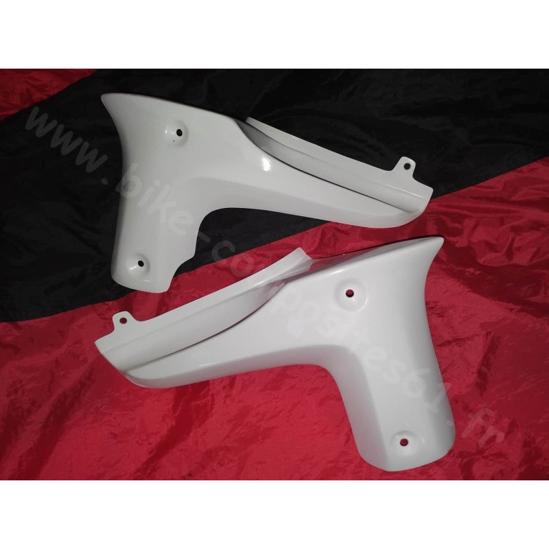Ecopes de radiateur pour Suzuki 650 Bandit N 2009 à 2015