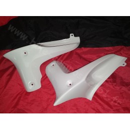 Ecopes de radiateur pour Suzuki 650 Bandit N 2009 à 2015