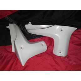 Ecopes de radiateur pour Suzuki 650 Bandit N 2009 à 2015