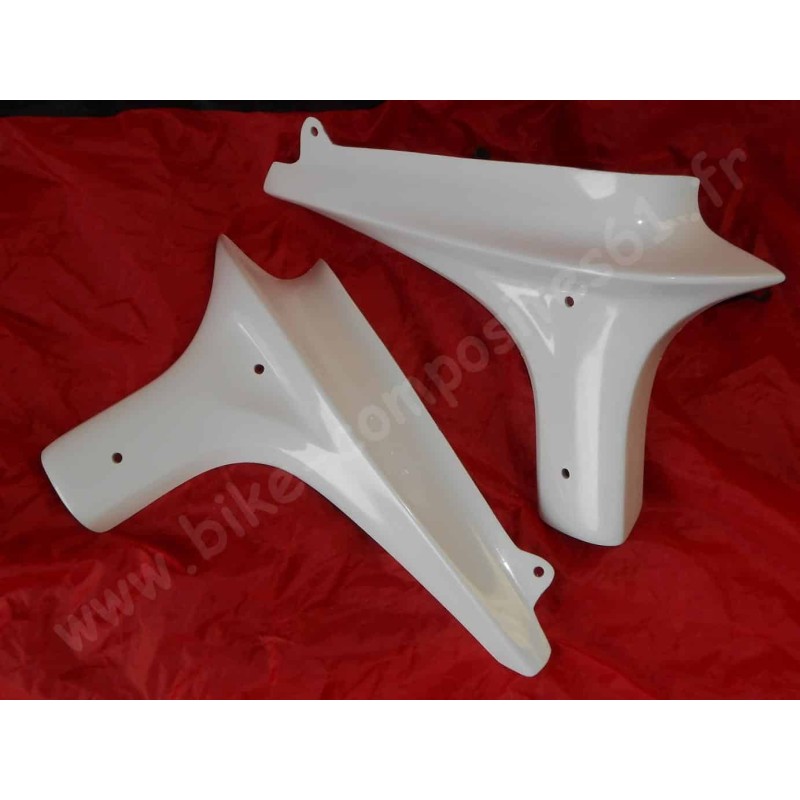Ecopes de radiateur pour Yamaha 600 Fazer 2002 et 2003