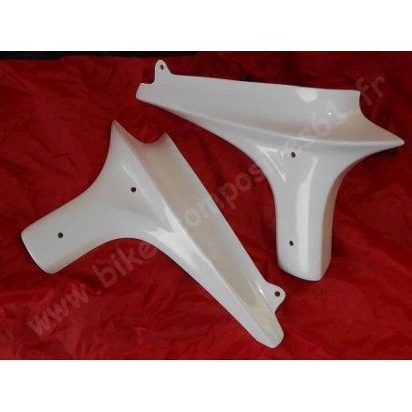 Ecopes de radiateur pour Yamaha 600 Fazer 2002 et 2003