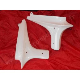 Ecopes de radiateur pour Yamaha 600 Fazer 2002 et 2003