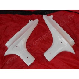 Ecopes de radiateur pour Yamaha 600 Fazer 2002 et 2003