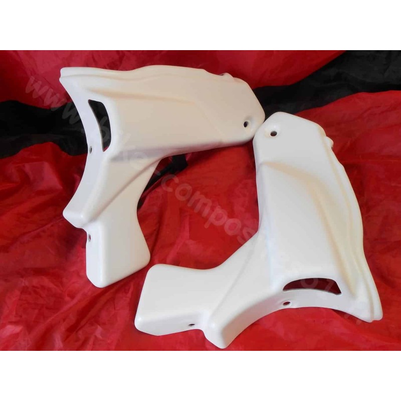 Ecopes de radiateur Yamaha 1000 FZS Fazer 2001 à 2005