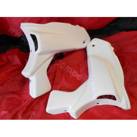 Ecopes de radiateur Yamaha 1000 FZS Fazer 2001 à 2005