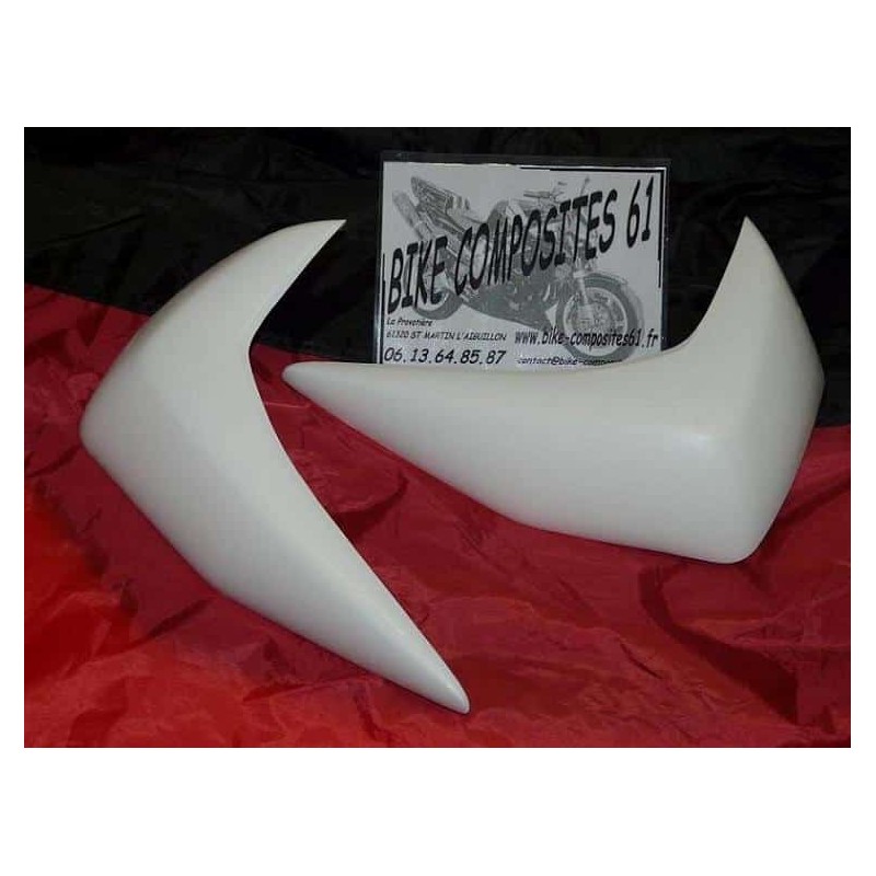 Ecopes de radiateur Adaptables LOOK Z 750