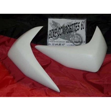 Ecopes de radiateur Adaptables LOOK Z 750