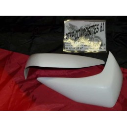 Ecopes de radiateur Adaptables LOOK Z 750