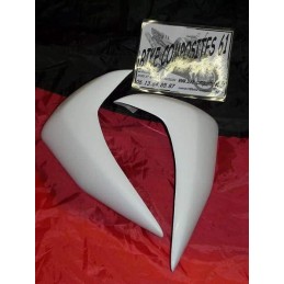 Ecopes de radiateur Adaptables LOOK Z 750