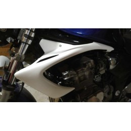Ecopes de radiateur pour Suzuki 600  Bandit 2000 à 2004