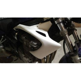 Ecopes de radiateur pour Suzuki 600  Bandit 2000 à 2004
