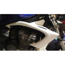 Ecopes de radiateur pour Suzuki 600  Bandit 2000 à 2004