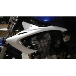 Ecopes de radiateur pour Suzuki 600  Bandit 2000 à 2004