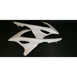Ecopes de radiateur pour Suzuki 1200  Bandit 2000 à 2005