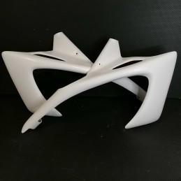 Ecopes de radiateur pour Suzuki 600  Bandit 2000 à 2004