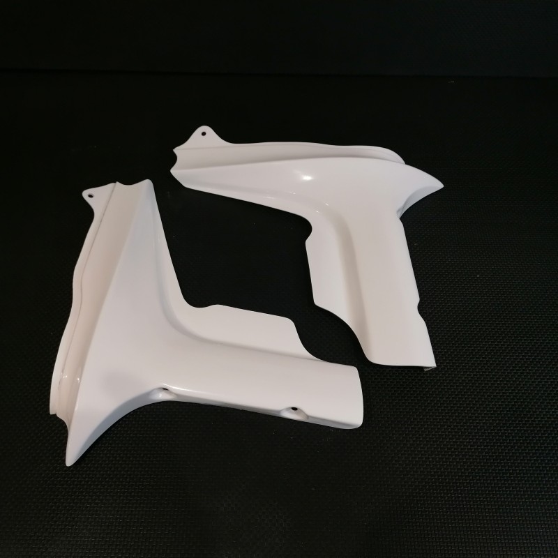 Ecopes de radiateur pour Yamaha 1000 FZS Fazer 2001 à 2005