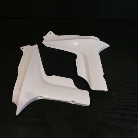 Ecopes de radiateur pour Yamaha 1000 FZS Fazer 2001 à 2005