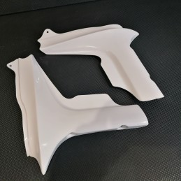 Ecopes de radiateur pour Yamaha 1000 FZS Fazer 2001 à 2005