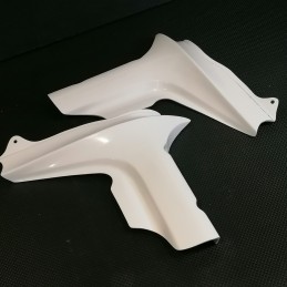 Ecopes de radiateur pour Yamaha 1000 FZS Fazer 2001 à 2005