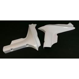 Ecopes de radiateur pour Yamaha 1000 FZS Fazer 2001 à 2005