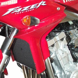 Ecopes de radiateur pour Yamaha 1000 FZS Fazer 2001 à 2005
