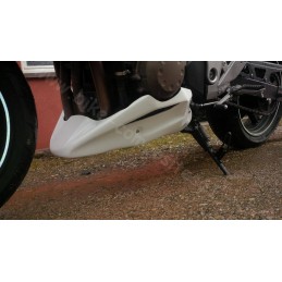 Sabot Moteur pour Kawasaki Z750 2004 à 2006 et 2007 à 2012