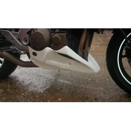 Sabot Moteur pour Kawasaki Z750 2004 à 2006 et 2007 à 2012