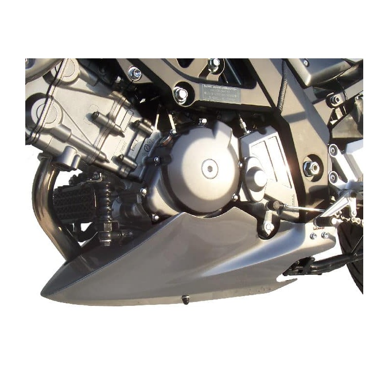 Sabot moteur pour Suzuki 650 XF Freewind