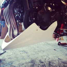 Sabot moteur pour Kawasaki Z900 2020 et 2021